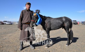 Өмнөговь аймгийн Цогт-Цэций сумын харьяат аймгийн Алдарт уяач Төмөртогоогийн Батмөнхийн бор даага. Говьшанх угшилтай. Хурдан бор