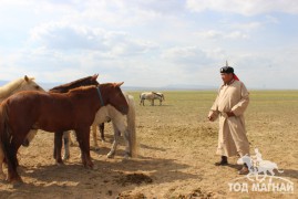 Аймгийн Алдарт уяач Х.Мөнхбат:Аймгийн наадмын цээжний арван адууг бараг л хэлчихдэг