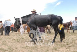 Хязаалангийн аман хүзүү Сүхбаатар аймгийн Түмэнцогт сумын уугуул Т.Санжаагийн хар