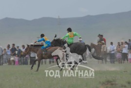 Хязаалангийн айргийн гурав Төв аймгийн Батсүмбэр сумын уугуул МУ-ын Тод манлай уяач Ц.Батсайханы хар 