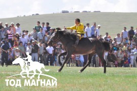 АХ-ын 89 жилийн ойн улсын баяр наадмын хурдан азарганы фото