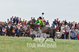 Өвөрхангай аймгийн Хужирт сумын уугуул МУ-ын хөдөлмөрийн баатар, гавьяат тамирчин Д.Дагвадоржийн бор 