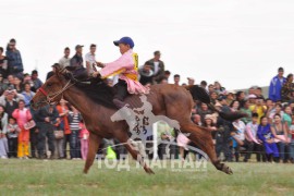 Дундговь аймгийн Луус сумын уугуул С.Шинэбаатарын сартай хээр