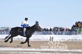 8.Архангай аймгийн Эрдэнэбулган сумын уугуул Г.Мөнхсайханы халтар