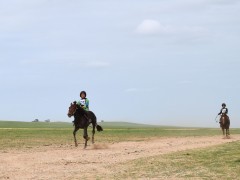 Говийн бүсийн уралдаанд эхний 10-т хурдалсан хурдан дааганууд