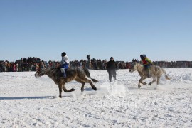 Сүхбаатарын аварга хүлэг шалгаруулах уралдааны их нас