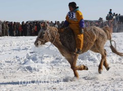 Сүхбаатарын аварга хүлэг шалгаруулах уралдааны их нас