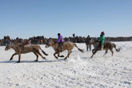 Сүхбаатарын аварга хүлэг шалгаруулах уралдааны их нас