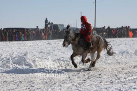 Сүхбаатарын аварга хүлэг шалгаруулах уралдааны их нас