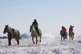 Сүхбаатарын аварга хүлэг шалгаруулах уралдааны их нас