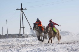 Сүхбаатарын аварга хүлэг шалгаруулах уралдааны их нас