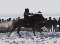 Сүхбаатар аймгийн аварга хүлэг шалгаруулах уралдаан азарга