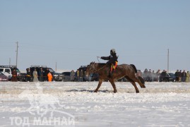 Сүхбаатар аймгийн аварга хүлэг шалгаруулах уралдаанд түрүүлж айрагдсан хурдан соёолонгууд