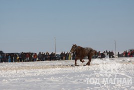 Сүхбаатар аймгийн аварга хүлэг шалгаруулах уралдаанд түрүүлж айрагдсан хурдан соёолонгууд