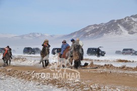 Аман хүзүү – Хөвсгөл аймгийн Тосонцэнгэл сумын уяач М.Бат-Очирын халтар Азарга