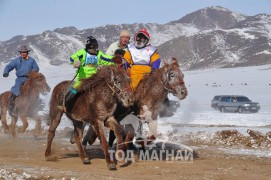 Айргийн дөрөв – Хөвсгөл аймгийн Их-Уул сумын уяач Д.Энхтөрийн Итгэлт хүрэн Азарга