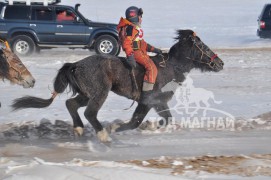 Айргийн тав – Хөвсгөл аймгийн Тосонцэнгэл сумын уяач Ч.Дашнямын Хар алаг Азарга