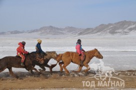 Айргийн гурав – Хөвсгөл аймгийн Мөрөн сумын уяач Т.Болдбаатарын Хээр морь