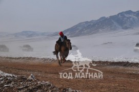 Айргийн дөрөв – Хөвсгөл аймгийн Мөрөн сумын уяач Г.Намсрайдоржийн Хул морь