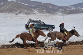 Түрүү – Хөвсгөл аймгийн Рашаант сумын уяач М.Бат-Оргилын Саарал соёолон