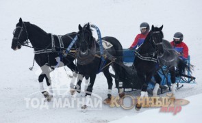 “Москвагийн өвөл -2013” Гурвалсан морин чарганы аварга шалгаруулах тэмцээн