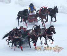 “Москвагийн өвөл -2013” Гурвалсан морин чарганы аварга шалгаруулах тэмцээн