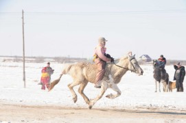 айргийн дөрөвт хурдалсан Төв аймгийн Борнуур сумын уугуул Сайнзаяагийн цагаан азарга