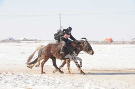 айргийн гуравт хурдалсан Сэлэнгэ аймгийн Сант сумын уугуул Жамсранжавын хээр азарга