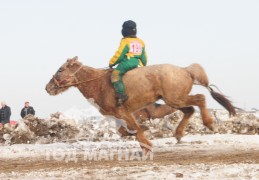 Бэлчирийн бүсийн уралдаанд түрүүлж айрагдсан хурдан хүлгүүдийн зураг