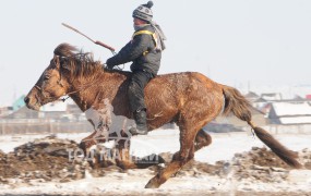 Аман хүзүүнд хурдалсан Сэлэнгэ аймгийн Хушаат сумын уугуул Ариунбаярын хул соёолон