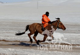 “Дүнжингарав”-ын өнгийг Цагаан хөтөлийн сунгаа тодорхойллоо