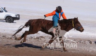 “Дүнжингарав”-ын өнгийг Цагаан хөтөлийн сунгаа тодорхойллоо