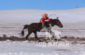 “Дүнжингарав”-ын өнгийг Цагаан хөтөлийн сунгаа тодорхойллоо