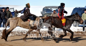 Аман хүзүүнд хурдалсан Халзан сумын уугуул Баттөрийн Согоо хээр, айргийн гуравт хурдалсан Дарьганга сумын харьяат Ганбатын саарал соёолон