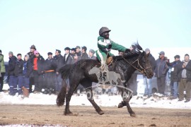 “Дүнжингаравын хурд-2013” хаврын бүсийн уралдаанд түрүүлж, айрагдсан хурдан азарганууд