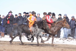 “Дүнжингаравын хурд-2013” хаврын бүсийн уралдаанд түрүүлж, айрагдсан хурдан азарганууд