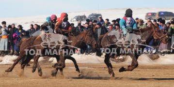 Аман хүзүү М.Энхболдын хүрэн, айргийн гурав Б.Баатарчулууны хул, айргийн дөрөв Б.Содномцогийн зээрд