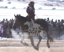 “Дүнжингаравын хурд-2013” хаврын бүсийн уралдаанд түрүүлж айрагдсан хурдан морьд