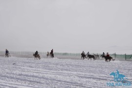 “Дүнжингаравын хурд -2011” уралдааны эргэн тойронд…