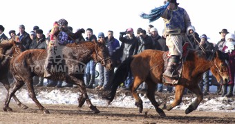 Аман хүзүүнд хурдалсан Санжаадоржийн зээрд, айргийн гуравт хурдалсан Ц.Энхбатын цавьдар