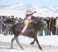 11-т хурдалсан Төв аймгийн Жараглант сумын уугуул Б.Батаагийн бор