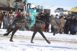 13-т хурдалсан Булган аймгийн Гурванбулаг сумын уугуул П.Мэндбаярын бор