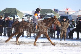 18-т хурдалсан Орхон аймгийн Баян-Өндөр сумын харьяат Б.Чулуунбатын хүрэн халзан