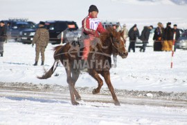 24-т хурдалсан Хэнтий аймгийн Дархан сумын харьяат У.Буяндэлгэрийн зээрд халзан