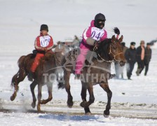 Эрдэнэтийн бүсийн уралдааны эрлийз ангилалд түрүүлж айрагдсан хүлгэд