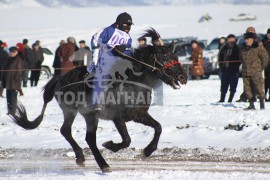 Эрдэнэтийн бүсийн уралдааны эрлийз ангилалд түрүүлж айрагдсан хүлгэд