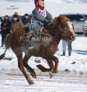 Эрдэнэтийн бүсийн уралдааны эрлийз ангилалд түрүүлж айрагдсан хүлгэд