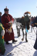 18 аймгийн уяачдын 500 гаруй хурдан хүлэг шандас шалгасан Эрдэнэтийн бүсийн наадмын сонин сайхнаас...