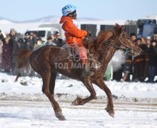 Толбот хүрэн эрлийз ангилалд уралдав