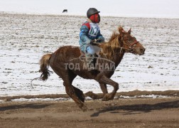 Түрүү аймгийн Алдарт уяач Ц.Энхбатын цавьдар 